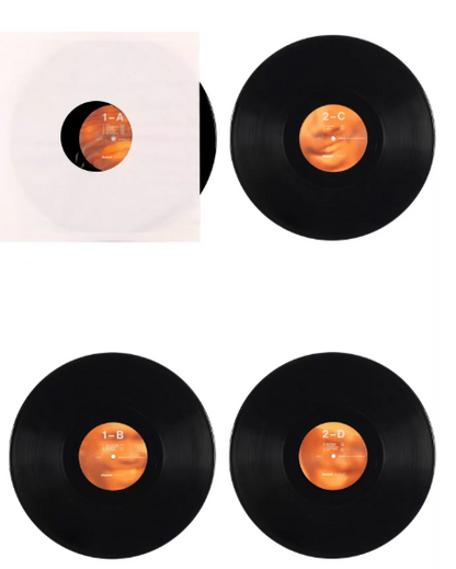 Frank Ocean – Channel Orange Black Vinyl 2LP