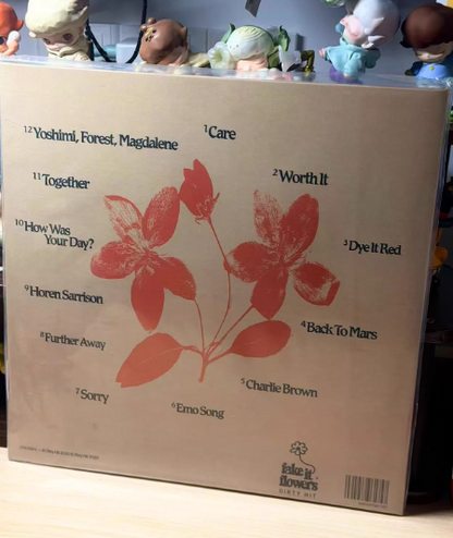 beabadoobee – Fake It Flowers Black Vinyl LP