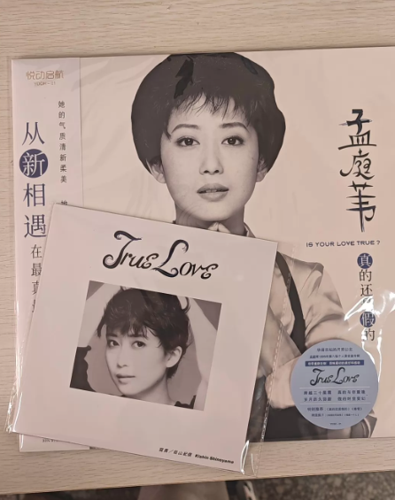 Meng Tingwei – True Love Selected Works Vinyl LP + Photo Book China Edition