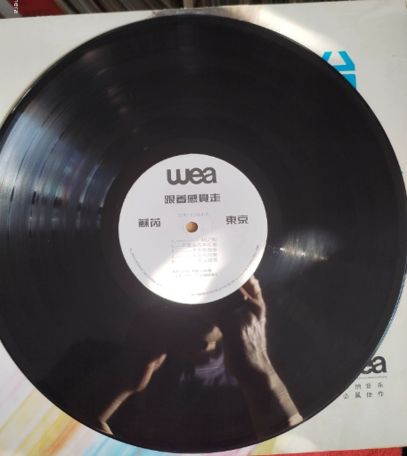 Su Rui – Follow Your Feeling: Taipei • Tokyo First Press Vinyl LP