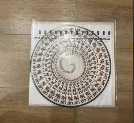 Lily Allen – It's Not Me, It's You RSD Picture Disc LP