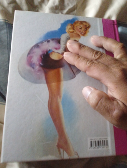 PIN-UP 365 Hardcover Oversized Art Book