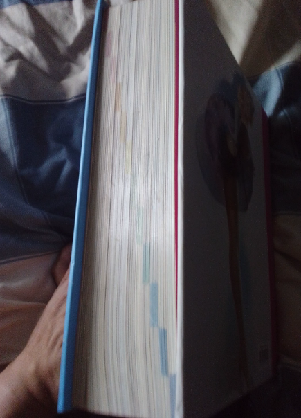 PIN-UP 365 Hardcover Oversized Art Book