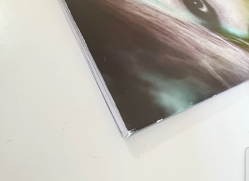 Lady Gaga – Born This Way Ball Tour Programme