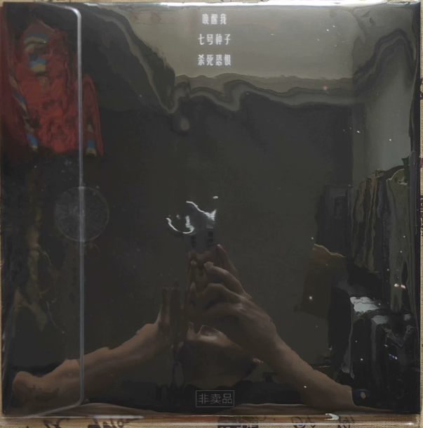 Vinida Weng – 唤醒我 LP