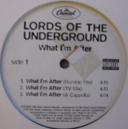 Lords Of The Underground : What I'm After (12", Single, RE)