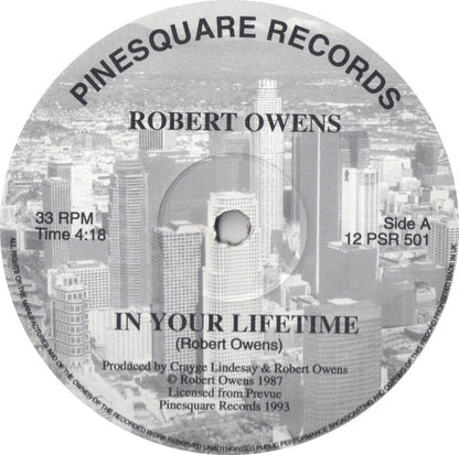 Robert Owens (2) / David McClendon / Reign (17) : In Your Lifetime / Paradise / Let Me (12", Comp)