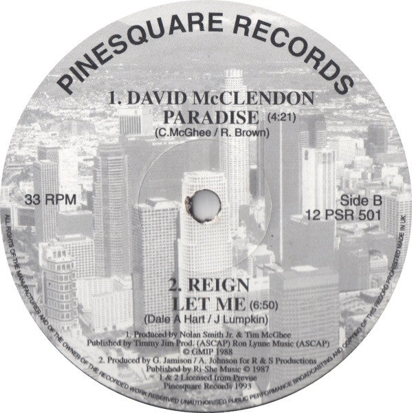Robert Owens (2) / David McClendon / Reign (17) : In Your Lifetime / Paradise / Let Me (12", Comp)