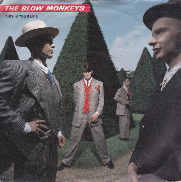 The Blow Monkeys : This Is Your Life (7")