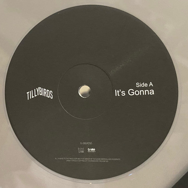 Tilly Birds : It’s Gonna Be Ok (LP + Box + CD, Album)
