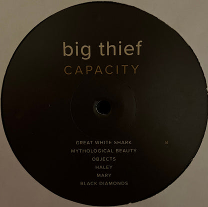 Big Thief : Capacity (LP, Album, Ltd, RE, Dar)