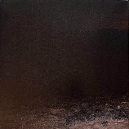 Tove Lo : Dirt Femme (LP, Album, Ltd, Pin)