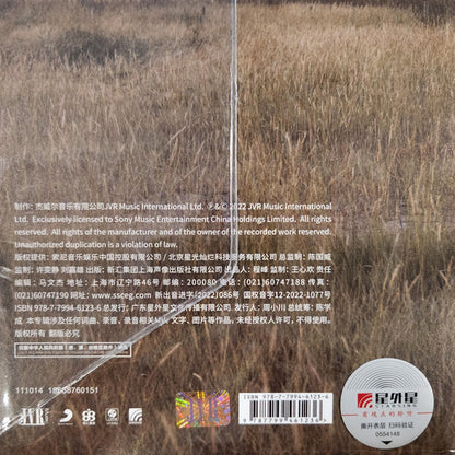 周杰伦* : 最伟大的作品 (2xLP, S/Sided, Album, Etch, 180)