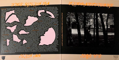 Mitski : The Land Is Inhospitable And So Are We (LP, Album, Ltd, Blu)