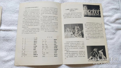 Japanese Theatre China Tour — The Doctor's Wife & Bunya Program Pair, 1981