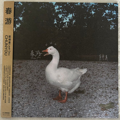 Leah Dou = 窦靖童* : 春游 (LP, Ltd, Cof)