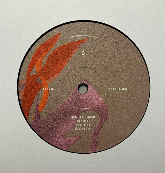 Cosha : Mt. Pleasant (LP, Album, Ltd)