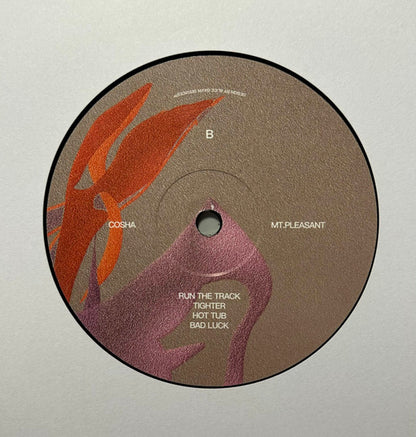 Cosha : Mt. Pleasant (LP, Album, Ltd)