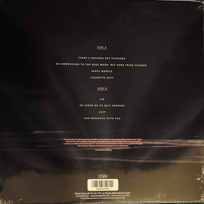 Bubble Tea And Cigarettes : There's Nothing But Pleasure (LP, Album, Ltd, RE, Pin)