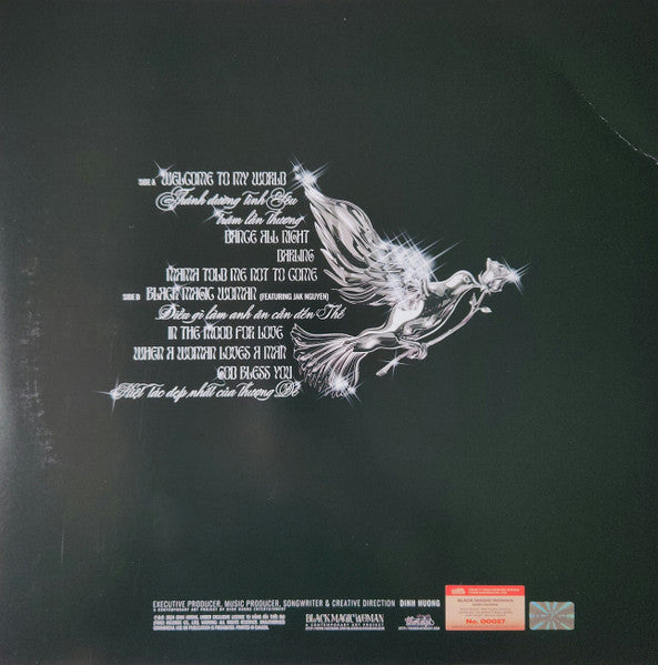 ĐINH HƯƠNG : BLACK MAGIC WOMAN (LP, Album, Ltd, Bab)