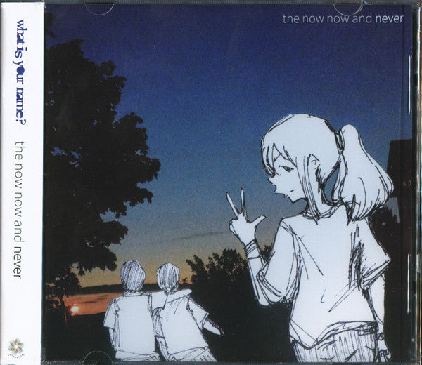 What Is Your Name? : The Now Now And Never (CDr, Album, 128)