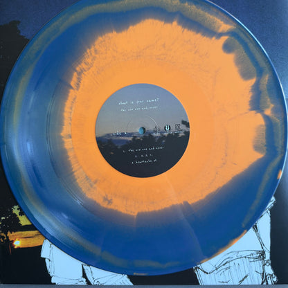What Is Your Name? : The Now Now And Never (2xLP, Dlx, Ltd, Sun)