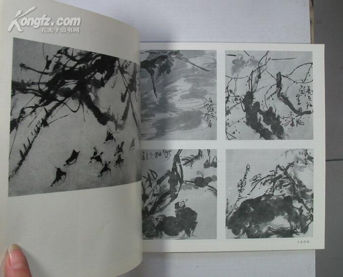 Tian Donghui — Painting Album, 1988 First Edition