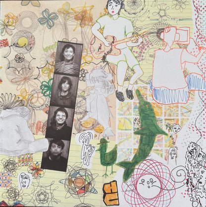 Frankie Cosmos : Different Talking (LP, Album, Ltd, Num, Sig)