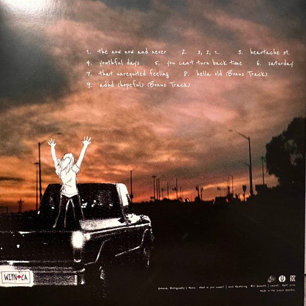 what is your name? : The Now Now And Never (2xLP, Dlx, Sun)