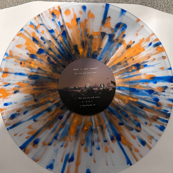 what is your name? : The Now Now And Never (2xLP, Dlx, Sun)