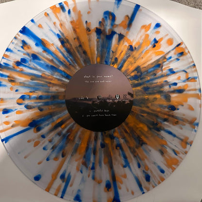 what is your name? : The Now Now And Never (2xLP, Dlx, Sun)