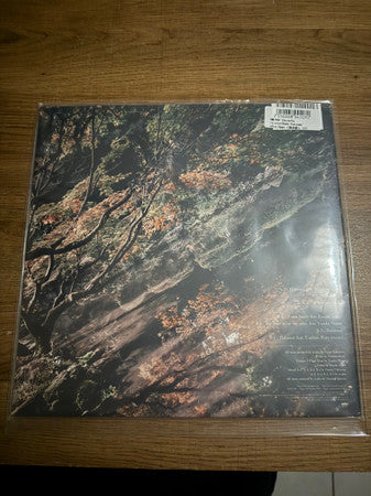 re:plus, Osamu Fukuzawa : Afterimage (LP)
