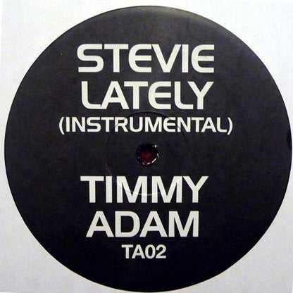 Stevie* : Lately (Timmy Regisford & Adam Rios Remix) (12", Unofficial)