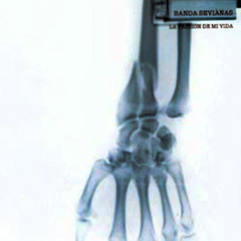 Banda Sevianas : La Passion De Mi Vida (12")
