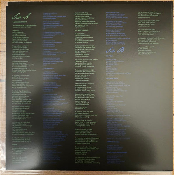 Big Thief : Double Infinity (LP, Album, Ltd, Gre)