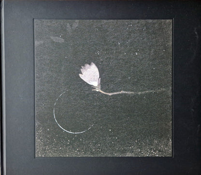 Mili (11) : Ender Magnolia: Bloom In The Mist Original Soundtrack (4xLP)