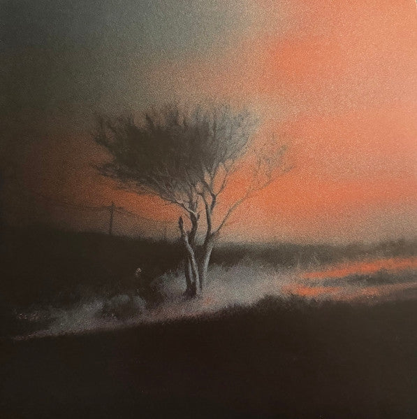 Joji : Piss In The Wind (LP, Album, Ltd, Red)