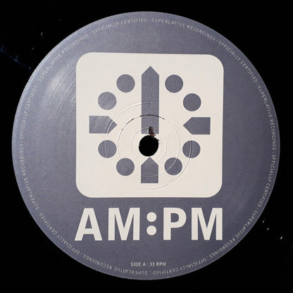 The Absolute : Catch Me (M&S Productions / The Problem Kids Mixes) (12")