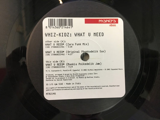 Whiz-Kidz : What U Need (12")