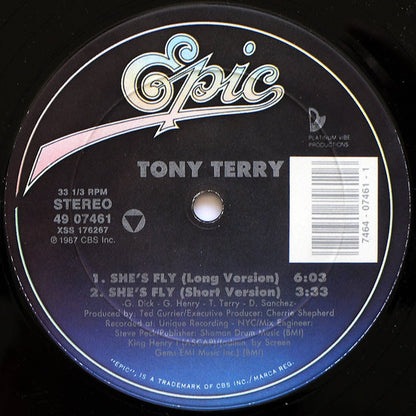 Tony Terry : She's Fly (12")