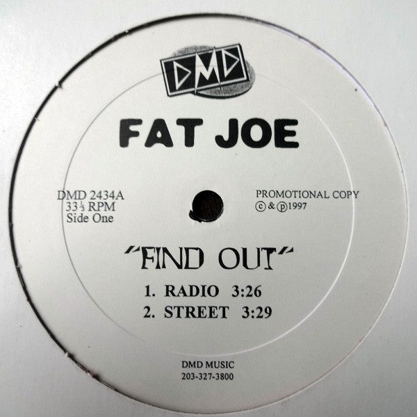 Fat Joe / Nas / Lost Boyz : Find Out / Winchester Yankee / Panty Man & Horny Man (12", Promo)