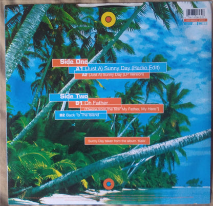 Baha Men : (Just A) Sunny Day (12")