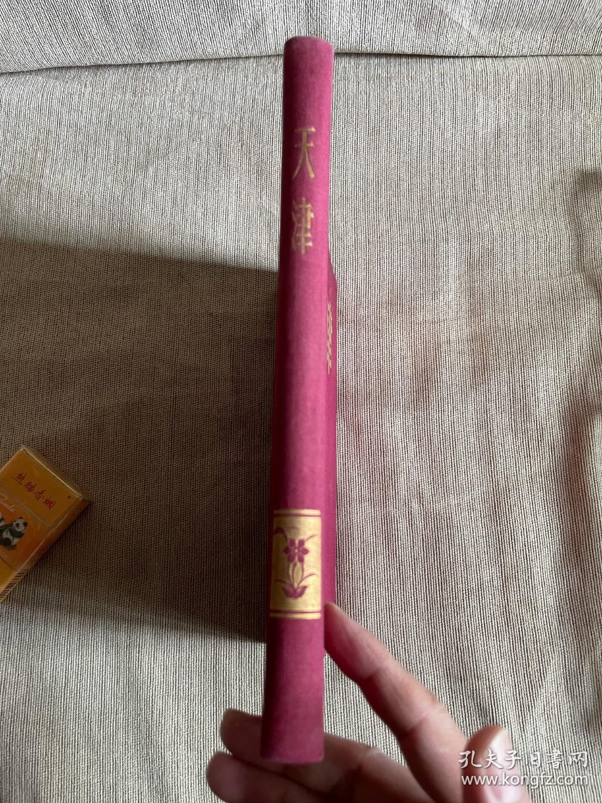 Tianjin - 1957 Trilingual Photobook