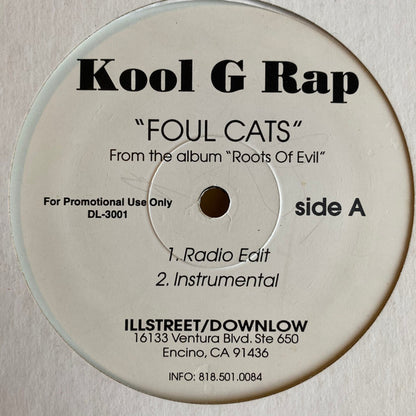 Kool G Rap : Foul Cats (12", Promo)