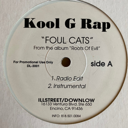 Kool G Rap : Foul Cats (12", Promo)