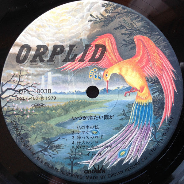 イルカ* : いつか冷たい雨が (LP, Album)