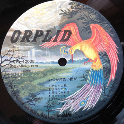 イルカ* : いつか冷たい雨が (LP, Album)