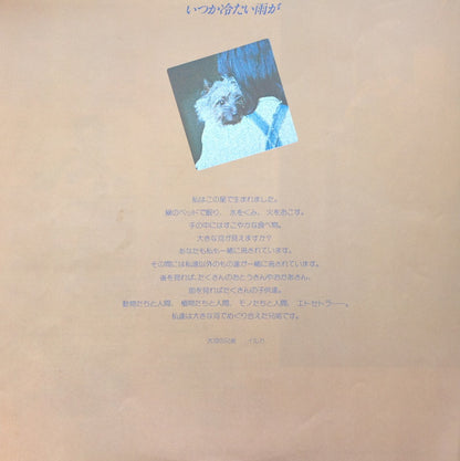 イルカ* : いつか冷たい雨が (LP, Album)