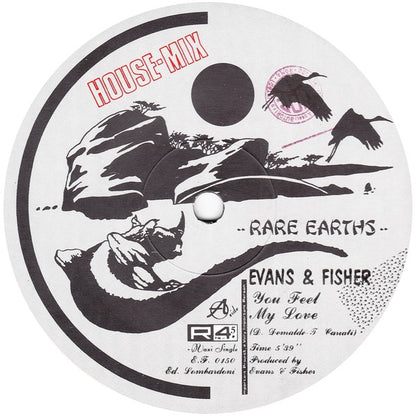 Evans & Fisher : You Feel My Love (House Mix) (12", Maxi)