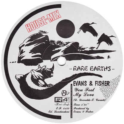 Evans & Fisher : You Feel My Love (House Mix) (12", Maxi)